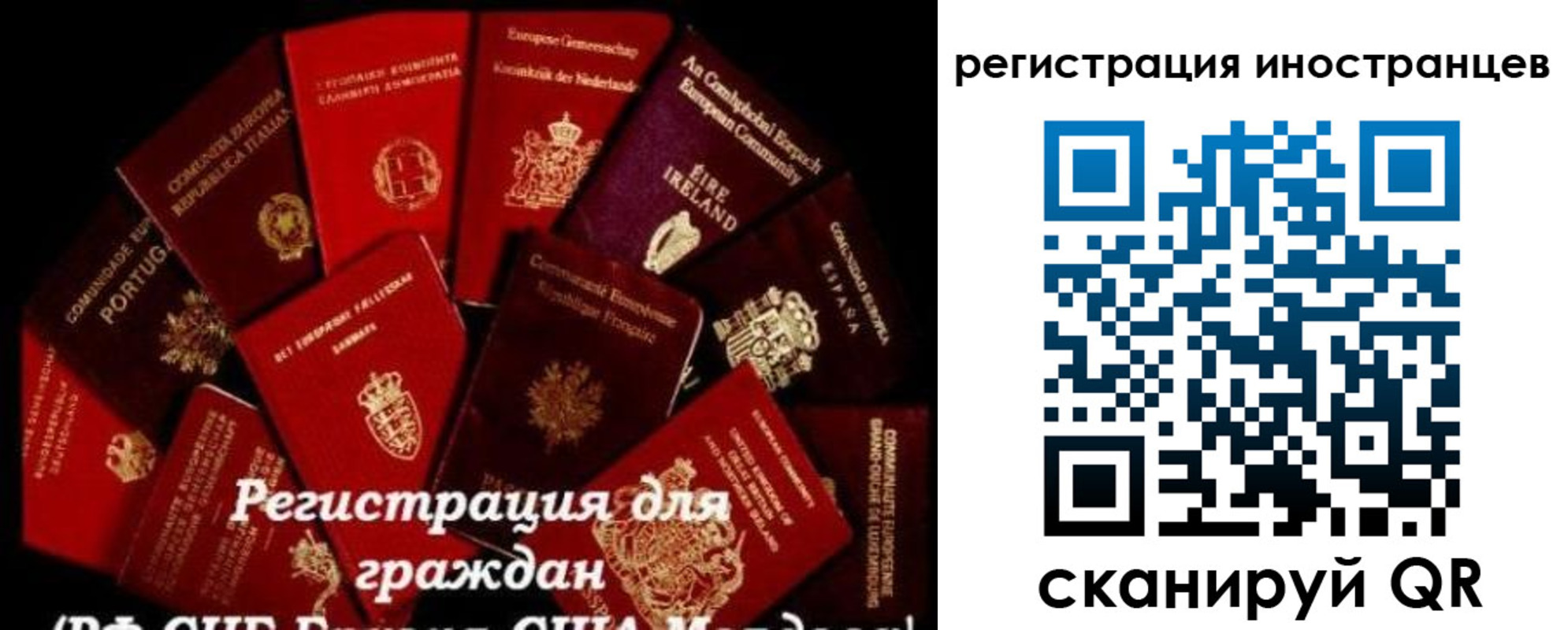 прописка иностранных граждан в Звенигово